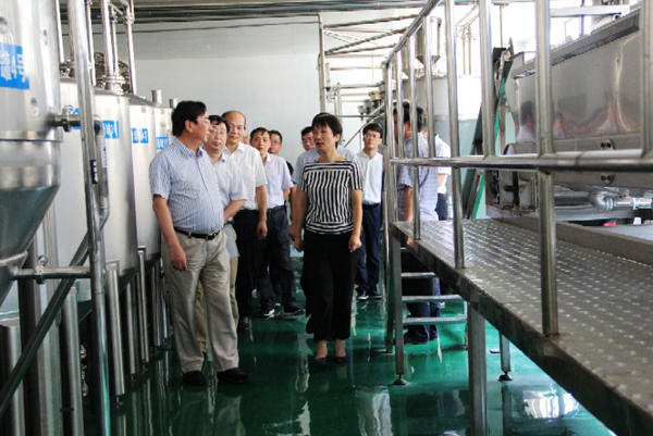 1531987013788397.jpg 3.jpg