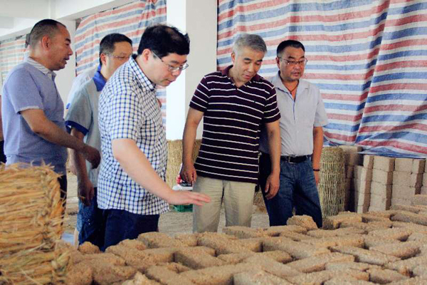 1536308264230948.jpg 2.jpg